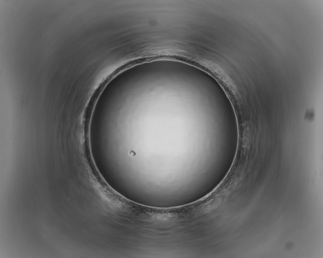 X0000094321031200711091337