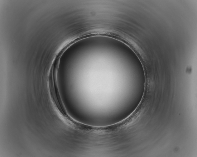 X0000094321034200711091337
