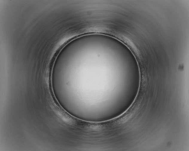 X0000094321035200711091337