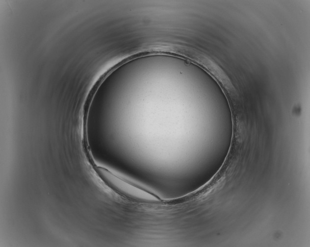 X0000094321036200711091337
