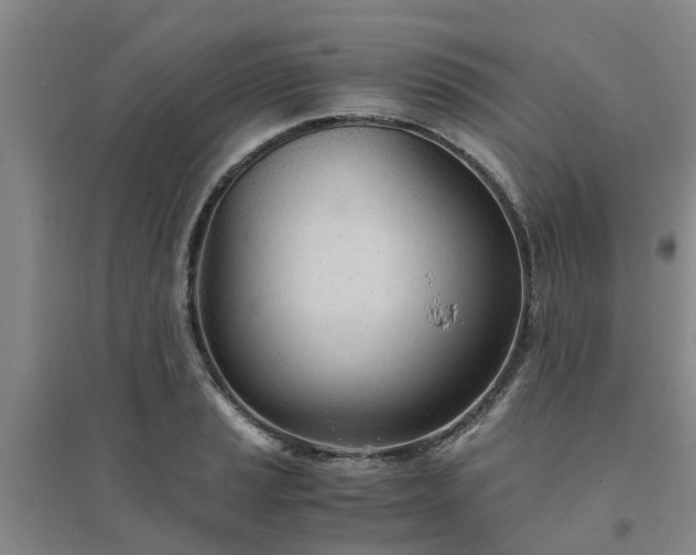 X0000094321037200711091337