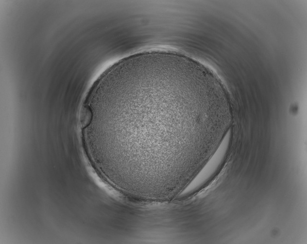 X0000094321038200711091337