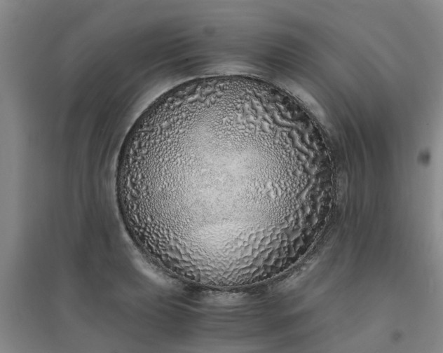 X0000094321039200711091337