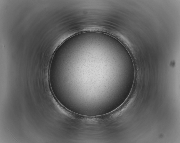 X0000094321041200711091337