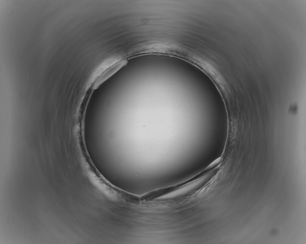 X0000094321042200711091337