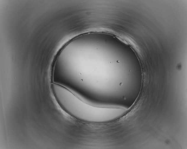 X0000094321046200711091337