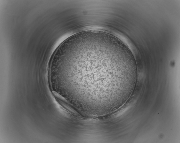 X0000094321050200711091337