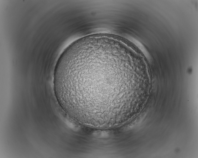 X0000094321051200711091337