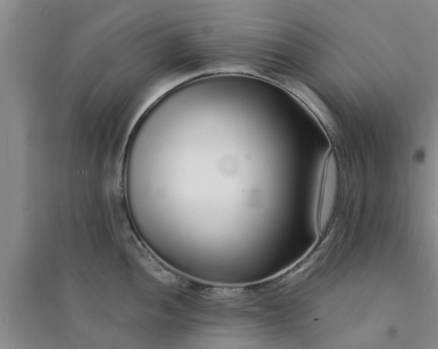 X0000094321052200711091337