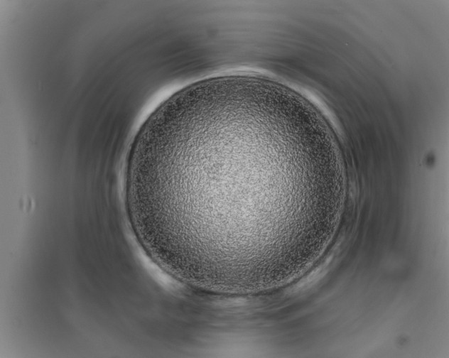 X0000094321054200711091337