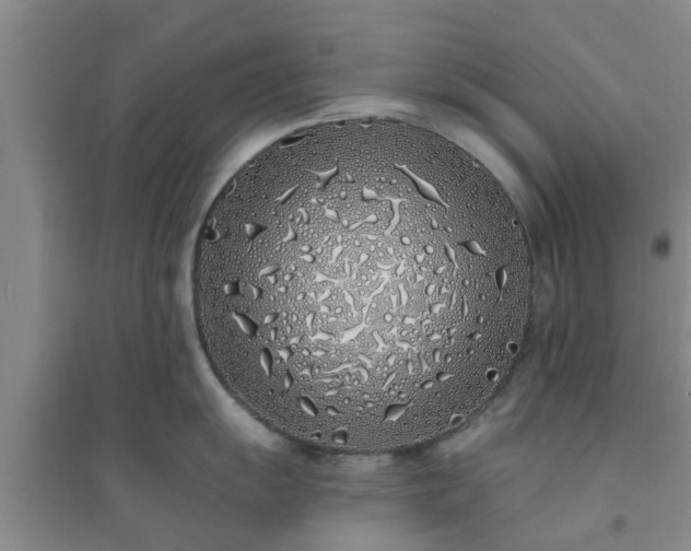 X0000094321055200711091337