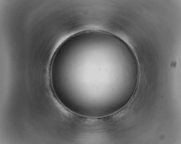 X0000094321056200711091337