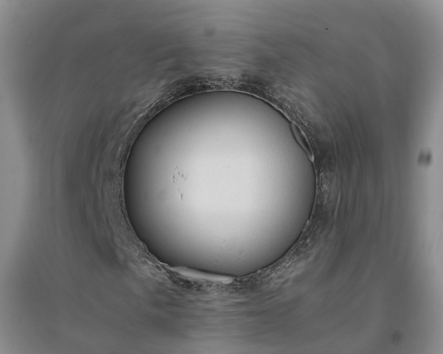 X0000094321057200711091336