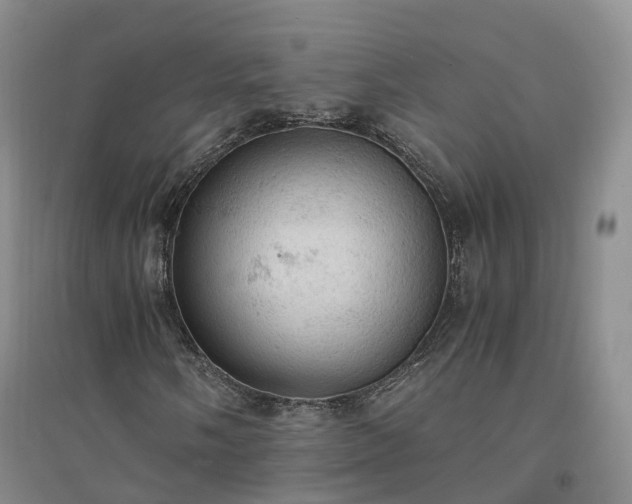 X0000094321058200711091336