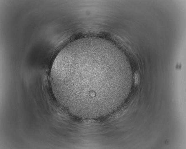 X0000094321059200711091336