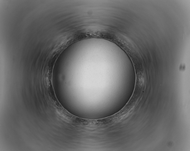 X0000094321060200711091336