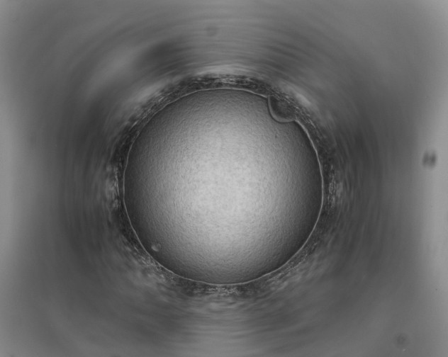 X0000094321062200711091336