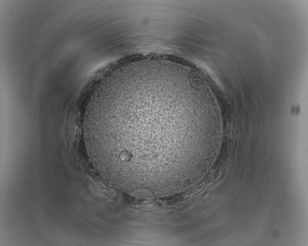 X0000094321063200711091336