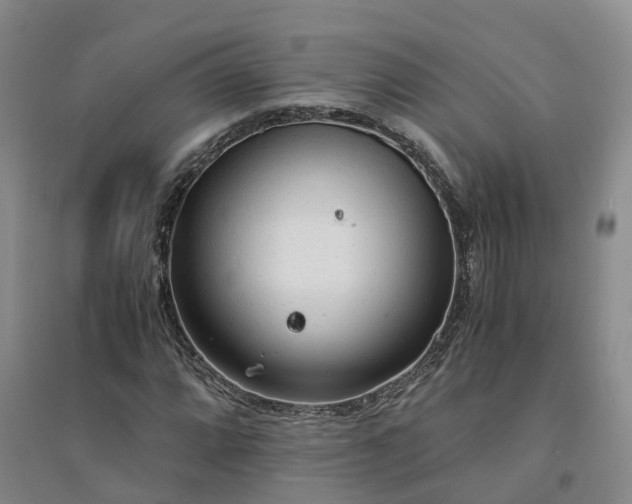 X0000094321064200711091336