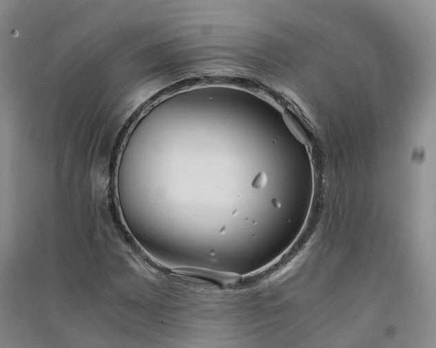 X0000094321065200711091336
