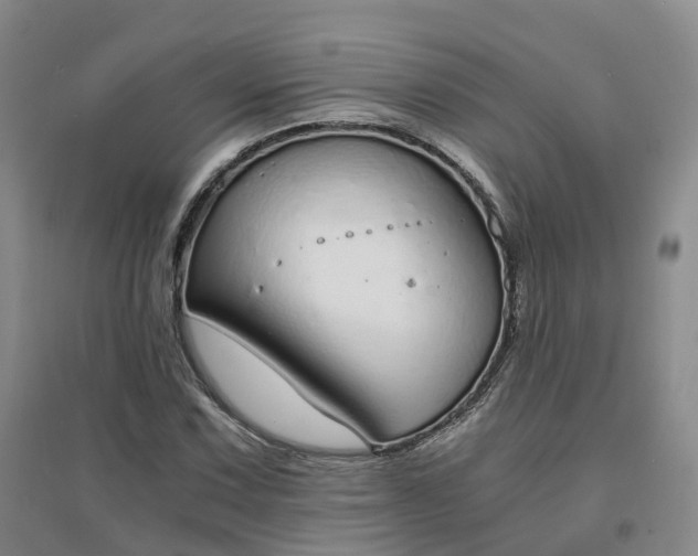 X0000094321067200711091336