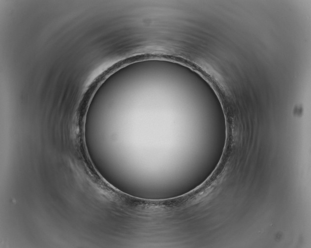 X0000094321070200711091336