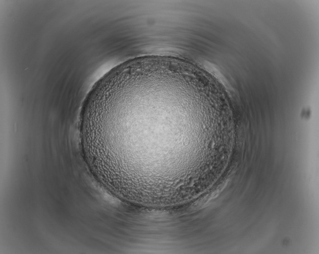 X0000094321071200711091336