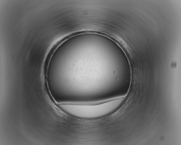 X0000094321072200711091336