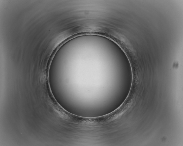 X0000094321073200711091336