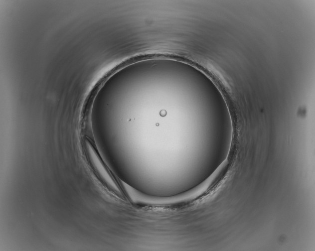 X0000094321077200711091336