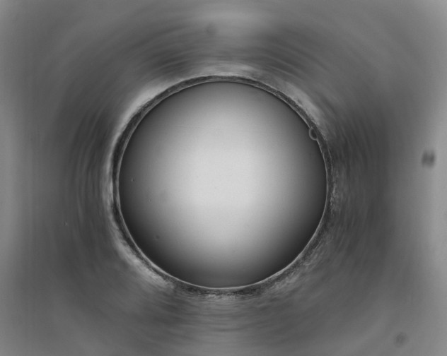 X0000094321080200711091336