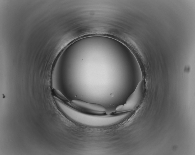 X0000094321081200711091336