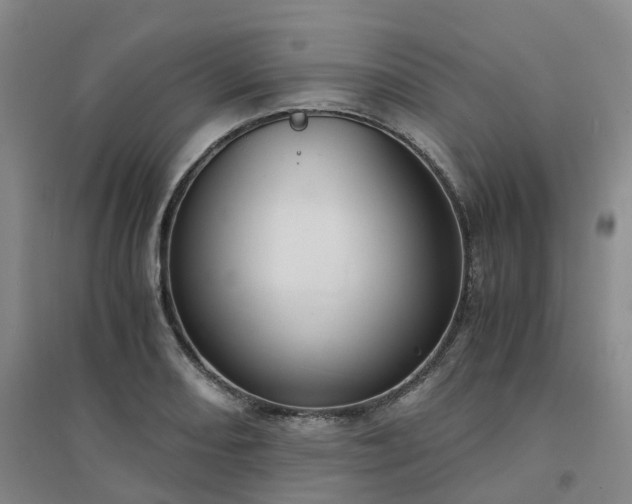 X0000094321082200711091336