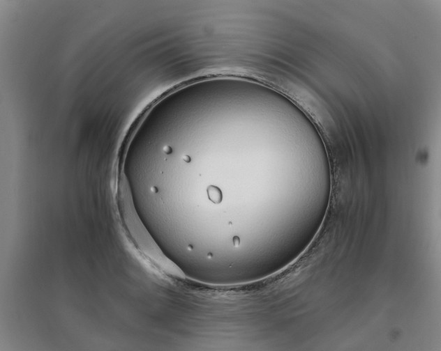 X0000094321084200711091336