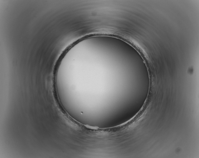 X0000094321085200711091336