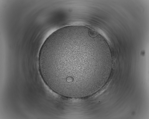 X0000094321087200711091336