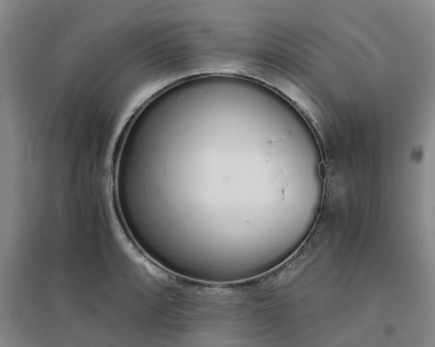 X0000094321088200711091336