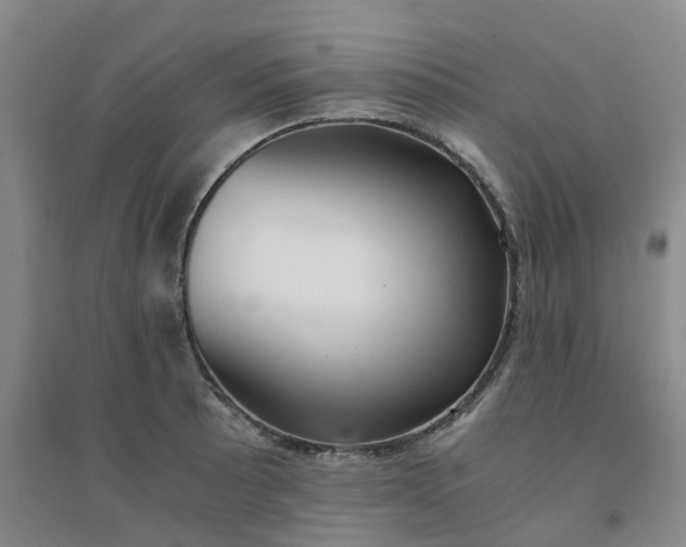 X0000094321089200711091336
