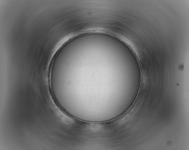 X0000094321090200711091336