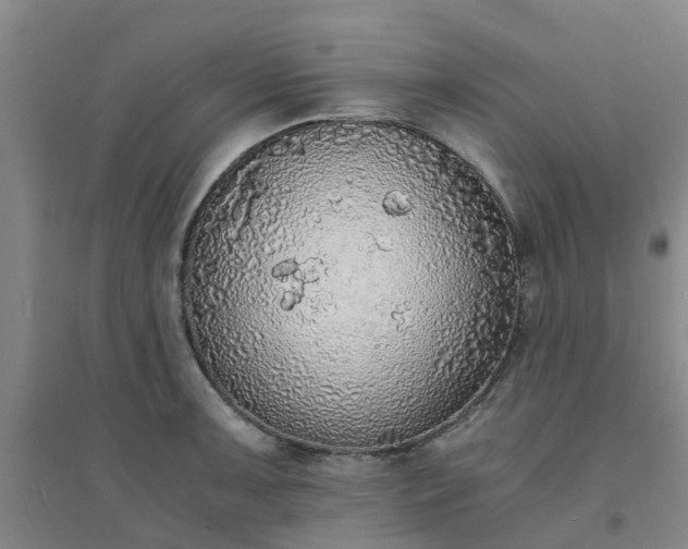 X0000094321091200711091336
