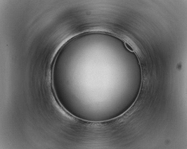 X0000094321092200711091336