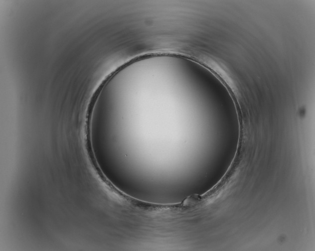 X0000094321093200711091336