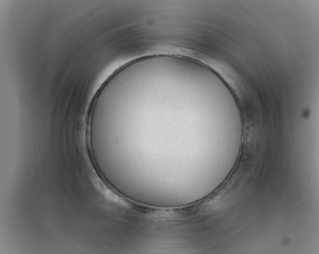 X0000094321094200711091336