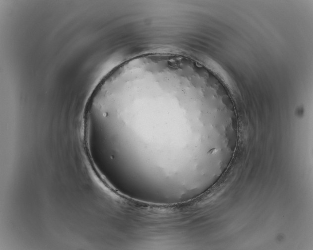 X0000094321095200711091336