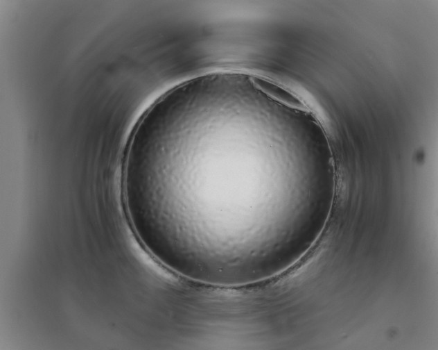 X0000094321100200711091336