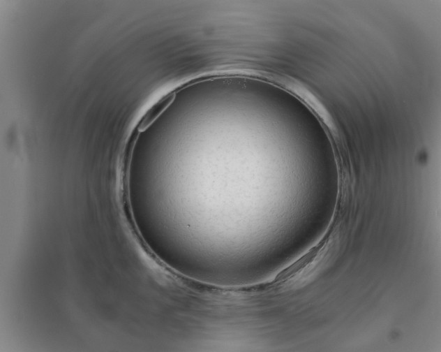 X0000094321101200711091336