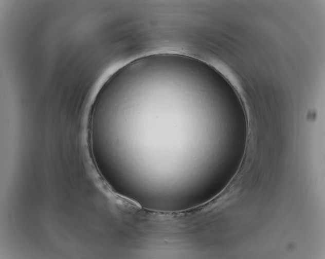 X0000094321104200711091336