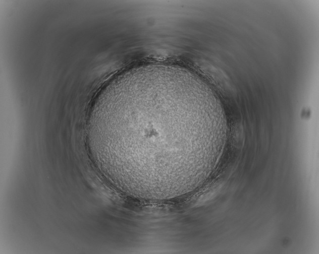 X0000094321105200711091335