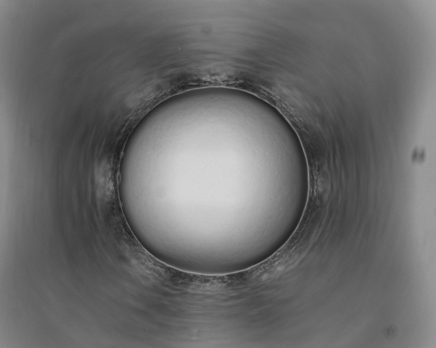 X0000094321106200711091335