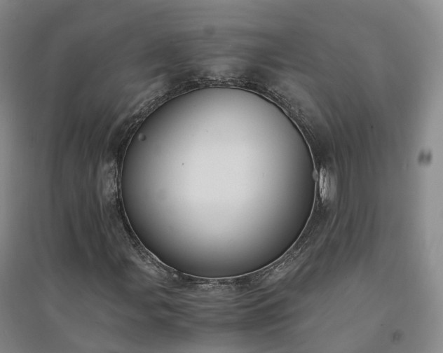 X0000094321107200711091335